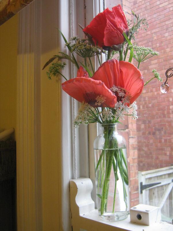 Johnny Kelso tweet media