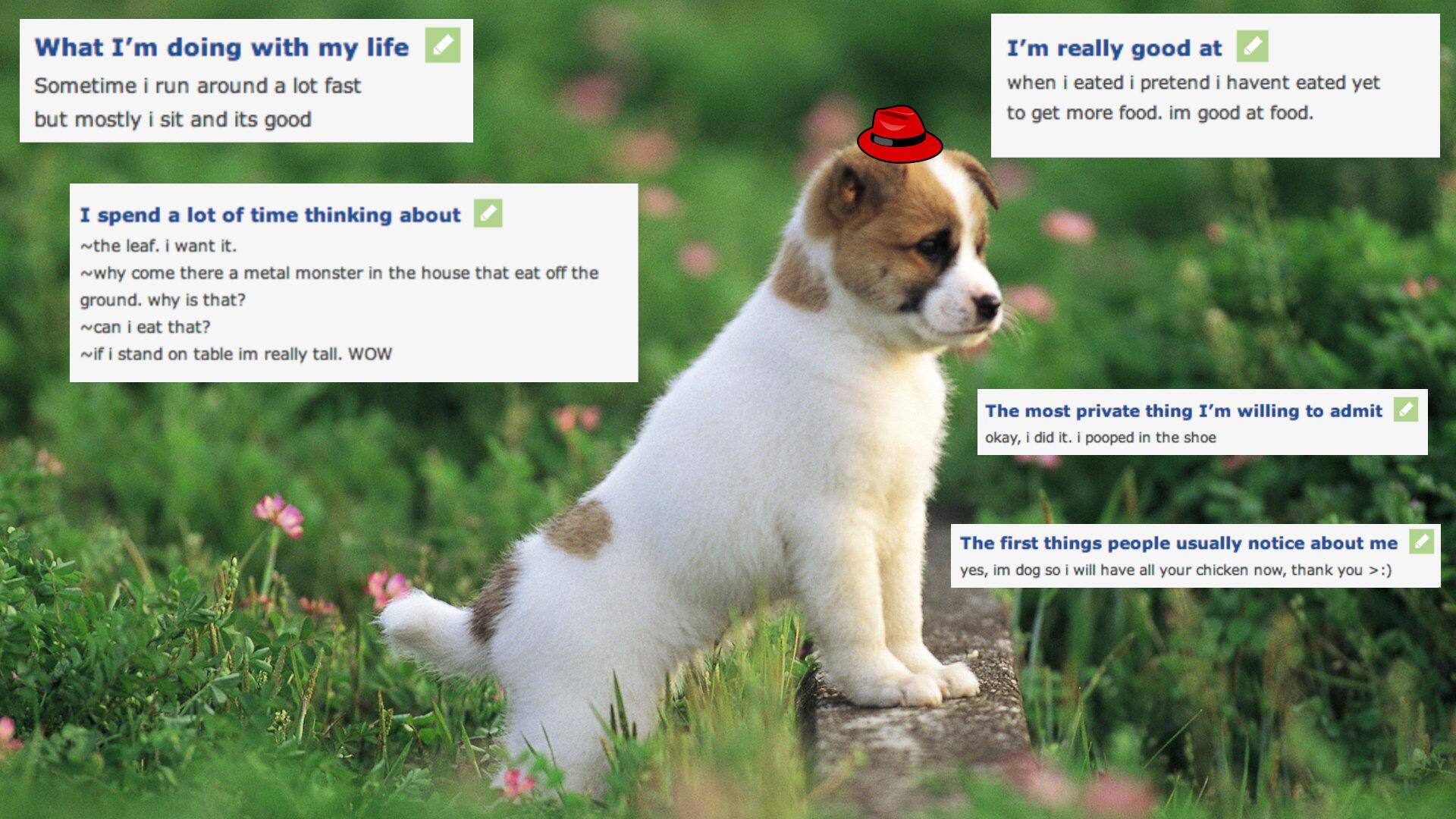 ����� ������� �� ��� ���� ���� ���� ��� ��� ������ ���� �� ��� �����