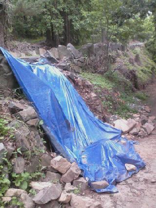 Louis Doulas (@louisdoulas) on Twitter photo 