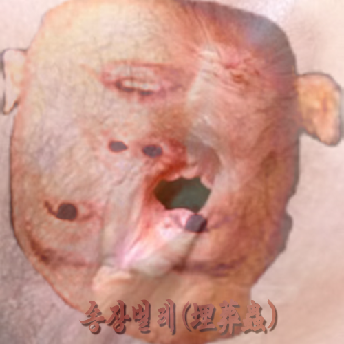 m0ik's tweet photo. 눈깔은 뻘 것에 까뒤집히고, 骸骨빡엔 썩은 구더기만 가득한데 주둥이만 나불거리면 새것을 짖어대나? 되나가나, 生殖器 핥아대는 色´소리 울부짖지 말고, 대추뻘 ‘娼년’ 송장이나 좆나 후벼 파게. @ahncs111 http://t.co/fj9zaClyid