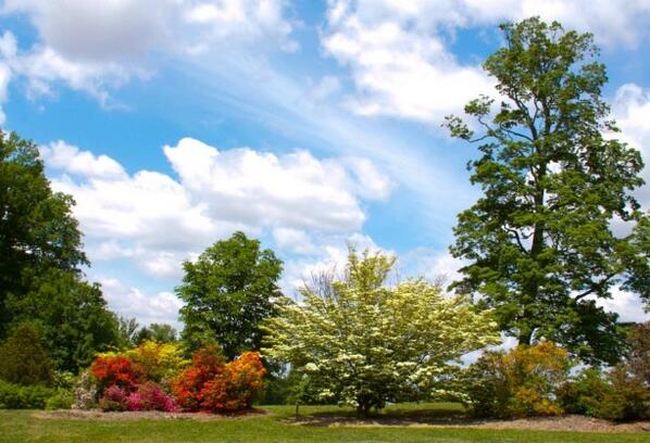 WaytMichelle's tweet image. @10TVBot Dawes arboretum