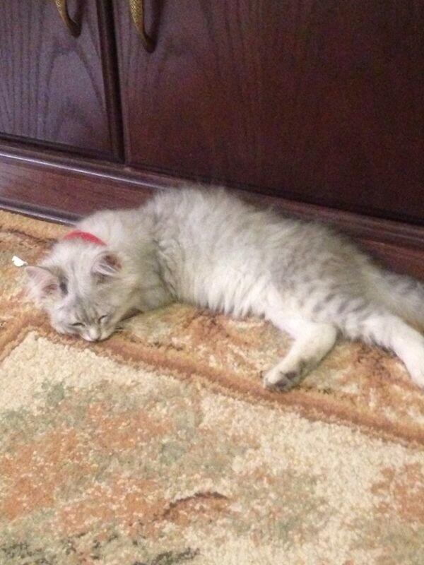 looly00921's tweet photo. http://t.co/xEqhuDnAph