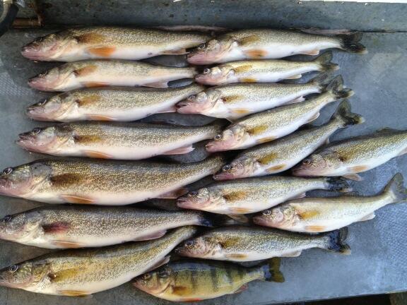 magonz442's tweet photo. Great day on the water! #rippinglips @Casser11 http://t.co/Fd0x66dDzF