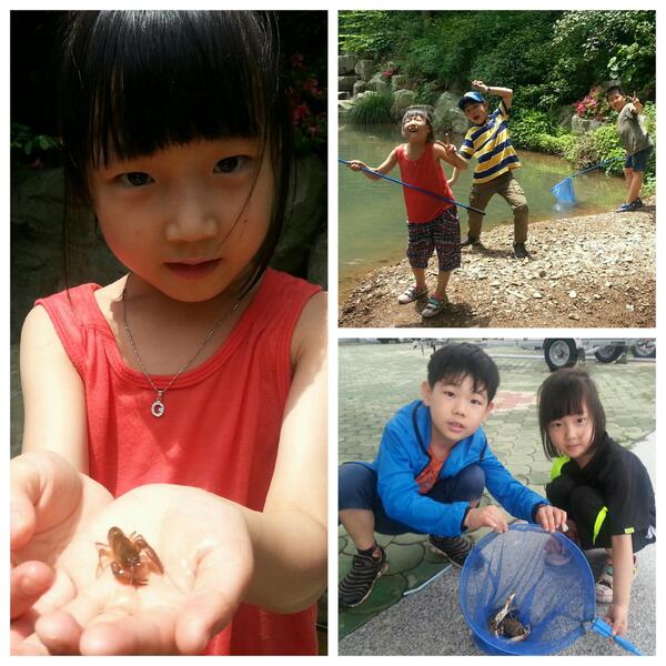 sihea's tweet image. 고성군 당황포관광지에서 꽃게잡고, 갈모봉 편백나무 휴양림에서 가재,도룡뇽,개구리,사슴벌레를 잡았다가 다 풀어줬네요!! 애들이 이제 많이 자랐네요! 알아서들 관찰하고 풀어주네요! ^^ㄱ갈모봉 휴양림 강추합니다!