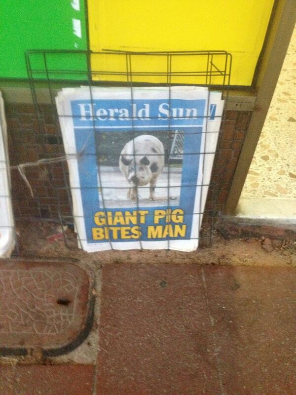 mickeva28's tweet photo. In a world of great tragedy and triumph every day, the @theheraldsun has this to say.... http://t.co/rxnrSj0M4H