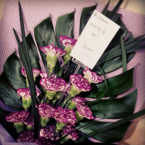 ClareTheBoo's tweet photo. Thanks for making my day @junipersjournal http://t.co/EaKaavH32A