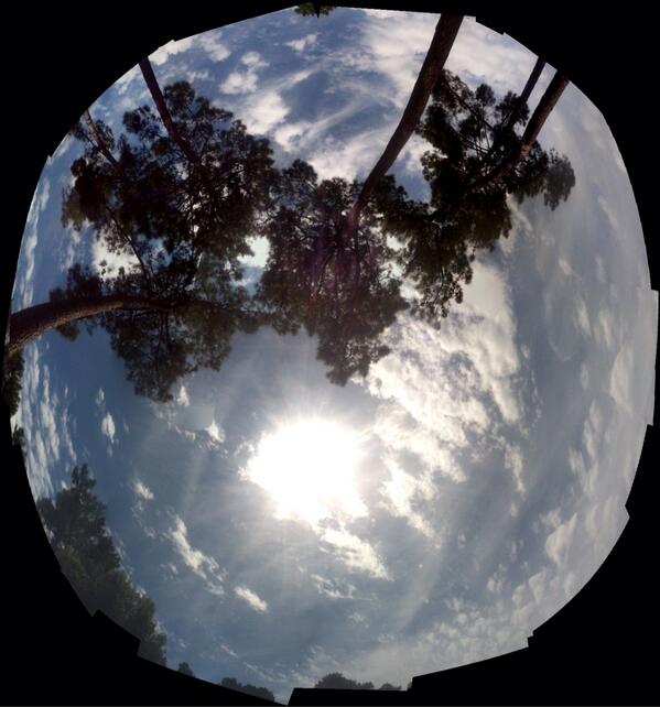 Plinoud tweet picture