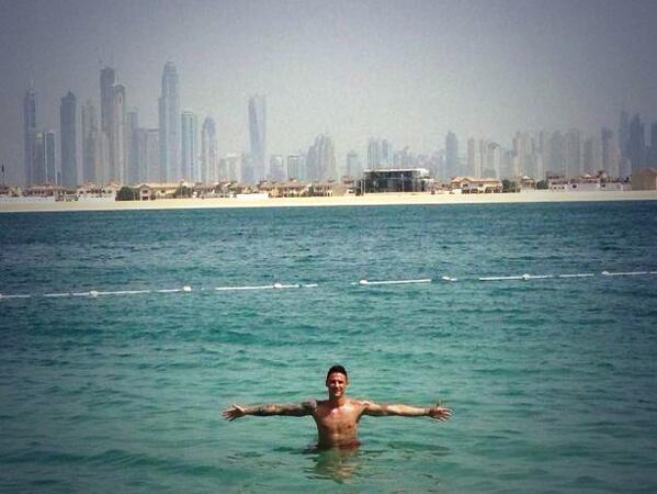 View image on Twitter