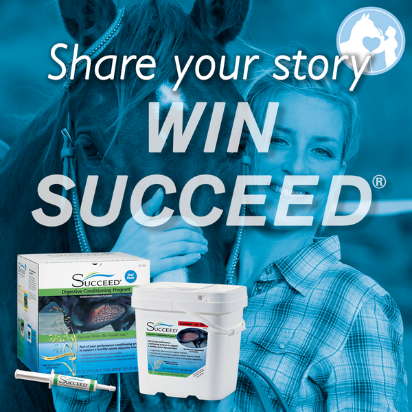 SUCCEEDEquine's tweet photo. Have you had a horse that colicked? Share your story, win SUCCEED! http://t.co/32F7eawAr5 #colicmonth http://t.co/amo8L4iLoF