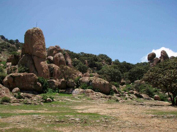 Location: El Diente, Guadalajara, Mexico