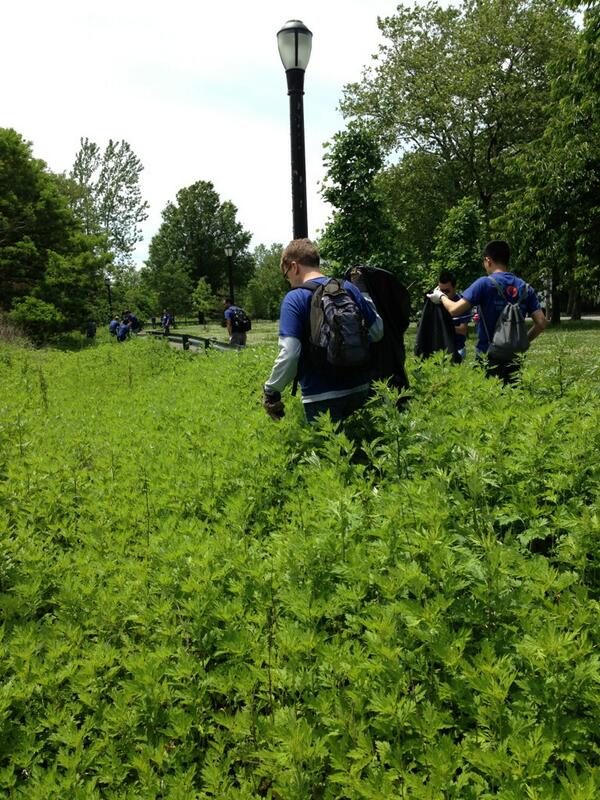 Han_Perr's tweet photo. Now that's a dedicated #volunteer!   @newyorkcares http://t.co/IgeVpn4tDD