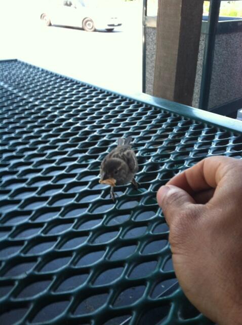 chadmendes's tweet photo. Had to make a pit stop cuz I was sick of the ensures. Grabbin a sandwich. Made a new buddy too. http://t.co/LMb9ETM7TD