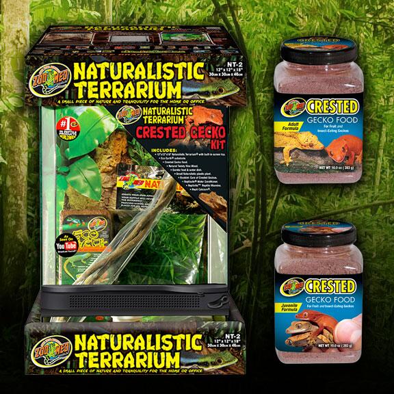 zoo med gecko kit