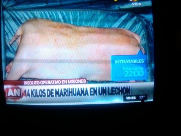 #narcochanchos #paraelbajon cc <a href="/merchuruchi/">Merchu</a> <a href="/cronicaweb/">Diario Crónica</a>