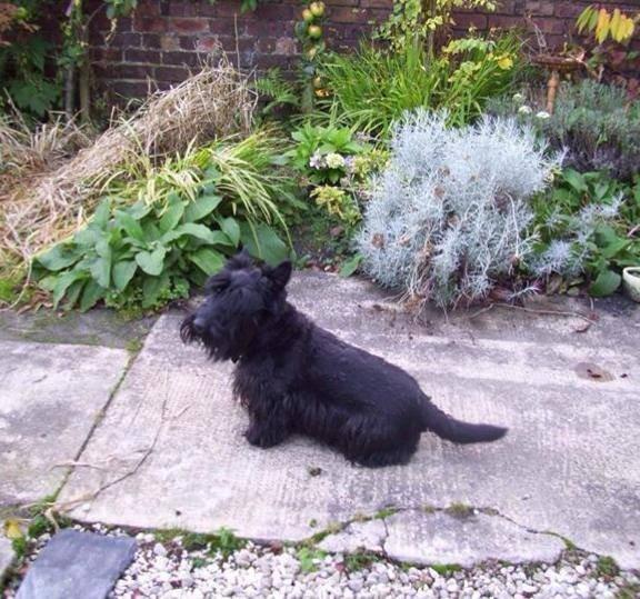 Jon Delaney tweet media