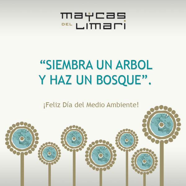 ¡Feliz #DíadelMedioAmbiente !