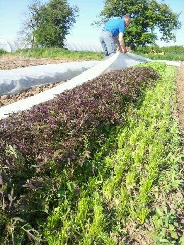 Mark Ellis tweet media