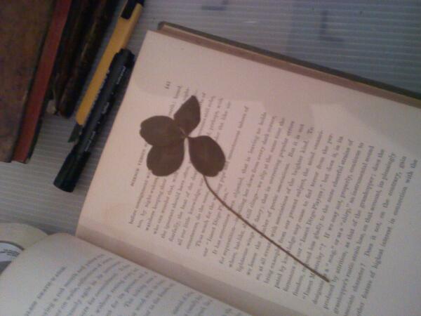 JAMWIBU's tweet photo. Amazing! A 152 year old preserved four leaf clover in a copy of Insect Life, by Domestica 1851. #bookoftheday!! http://t.co/JIbB18WOm9