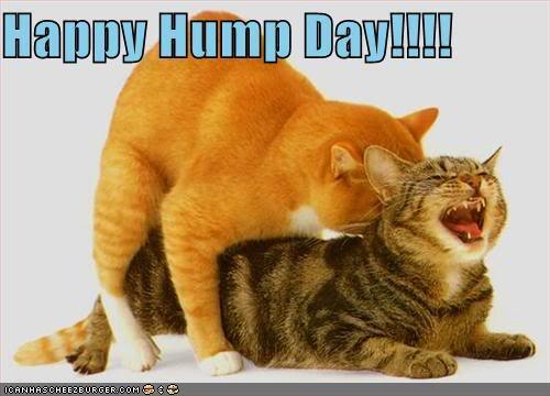 #HumpDay !!!!!!!! http://t.co/GOwk5kH8ey<a href="/tag/humpday"class="tags">#HumpDay</a>
