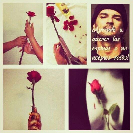 aleskacoo's tweet photo. @Corona_RD #ArjonaconCorona "O aprendes a querer la espina o no aceptes rosas". #arjona http://t.co/EjycwShrVL