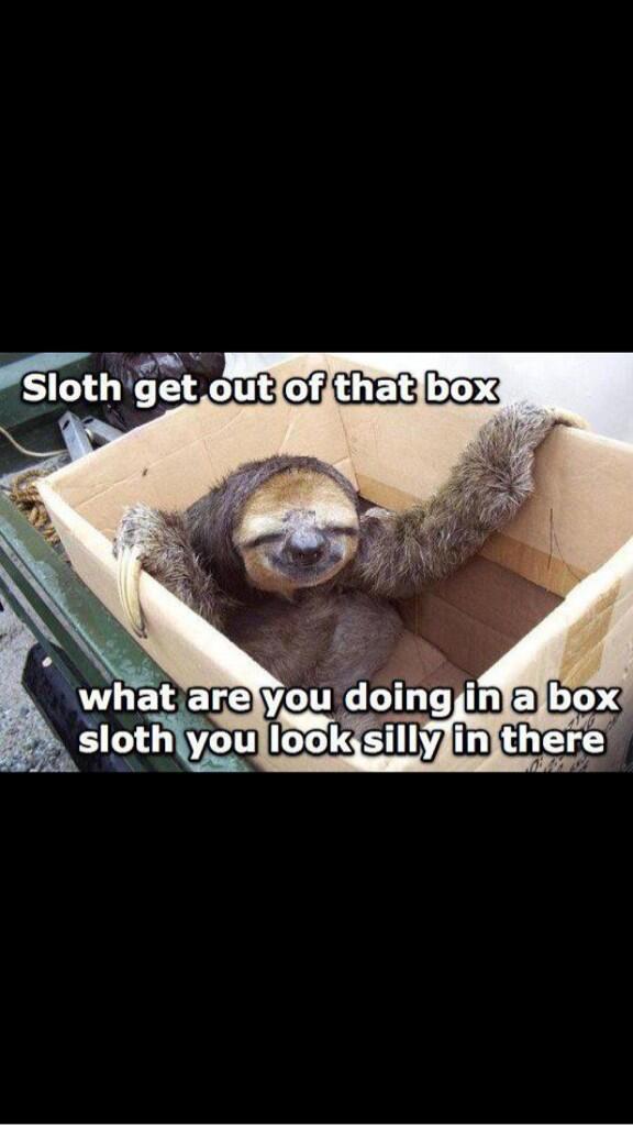 Example_Birdy's tweet image. Honestly sloth....