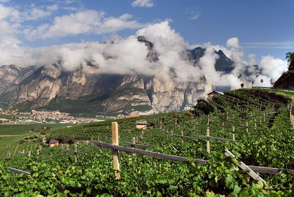 TN_WineTour's tweet photo. #trentino http://t.co/twVMQfJ44B