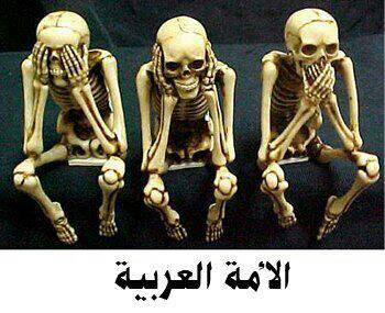 HAbdelsamee's tweet photo. هذا حال الامه العربيه تجاه ما يحدث فى سوريا http://t.co/swRgxtbP2c