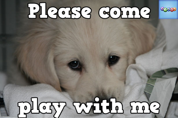aktowman's tweet photo. Play Bingo with Friends! #ilovebingo #BingoRun http://t.co/oYYU26XiGI http://t.co/YycqeYC4Fy