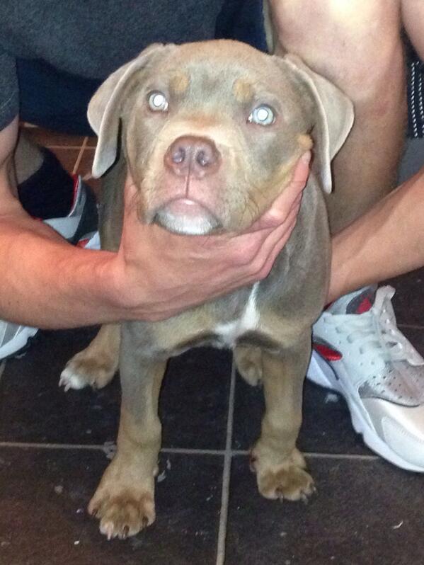 Night13K's tweet photo. Sosa 12 weeks Girls Be Diggin Him 2.. http://t.co/IS0BAtPcGQ