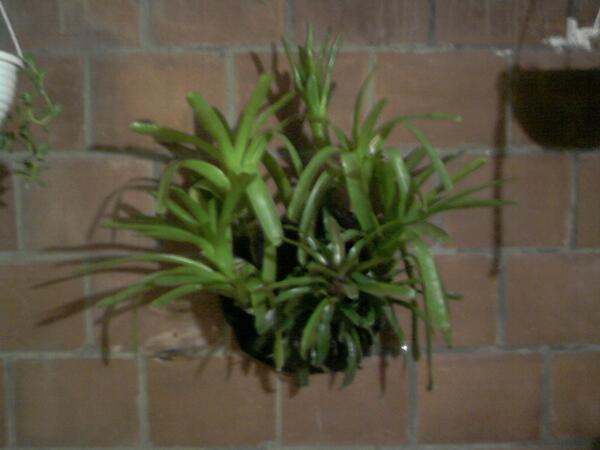 GarayLiz24's tweet photo. Mi platicero encanta! http://t.co/xB4Qbscglz