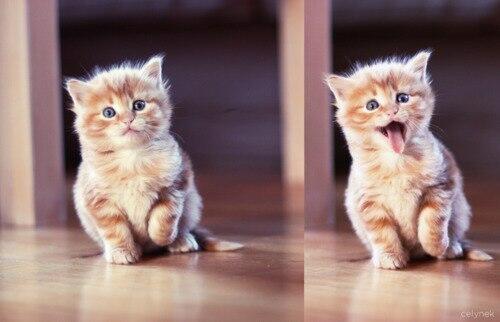 GIRLFRIEND_____'s tweet photo. Доброе утро  :) http://t.co/zzJFyjrc0B