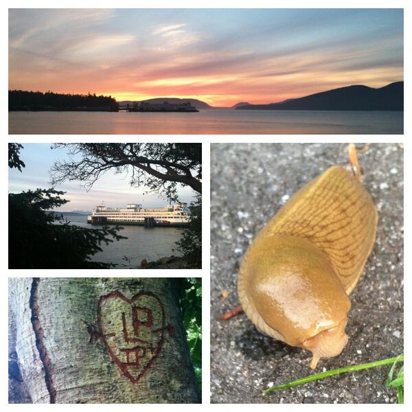 rozbear's tweet photo. What a day for a hike! http://t.co/wtyiIlljbE
