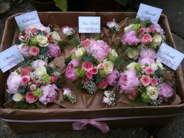 Hannah Moore Flowers (@hannahmflowers) on Twitter photo 