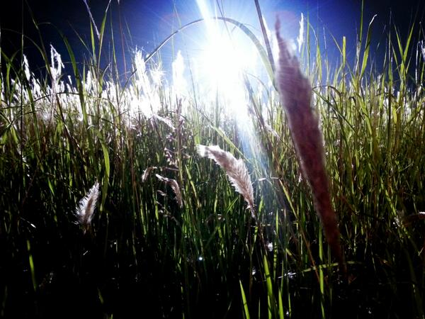 Let the light shine on you. Show the world your true colors. = ]