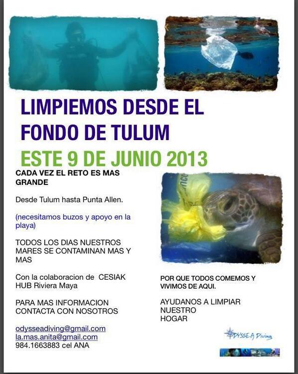 Celeste Cano tweet media