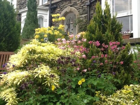StayArchway's tweet photo. All this good weather has brought out all the flowers in the garden. http://t.co/ogclefwk8e