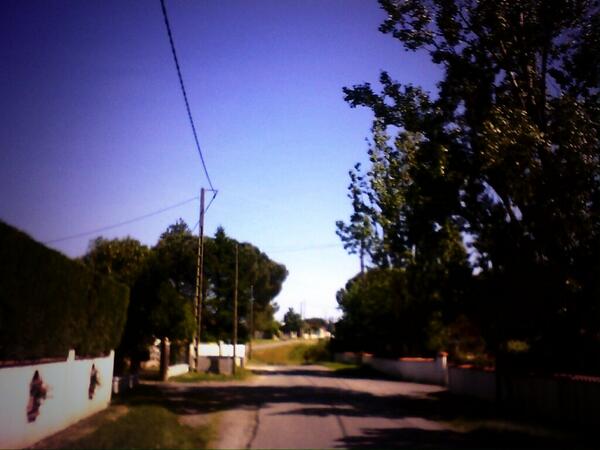 CreedMax tweet picture