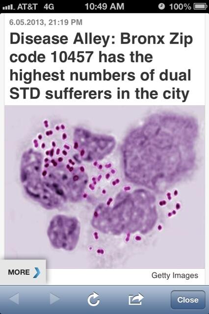 KevFastLife's tweet image. 😳 RT @ALi_R13 You see why I say stay away from the BX??? None of my niggas will Wife a Bx bitch