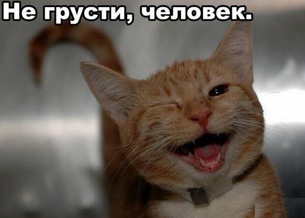 GIRLFRIEND_____'s tweet photo. С; http://t.co/g4Y2w6oF2C