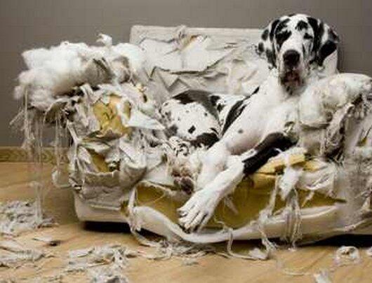 You see, I was just laying here when all of the sudden the bed exploded.
I'm just as shocked as you are.