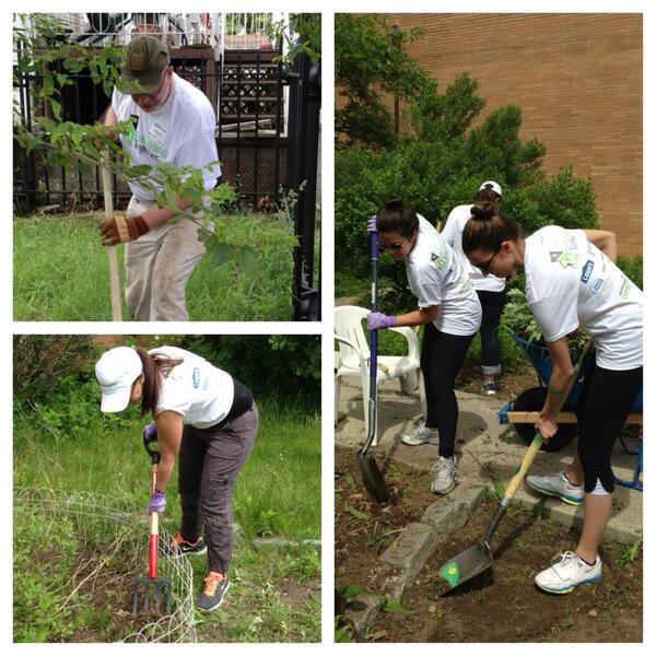 traditionalhome's tweet photo. Bringing a public garden back to life. Working hard @MJDiv @BFBrenner @clarahaneberg @decaporter! #WeRebuild http://t.co/MgwcR8pSh7