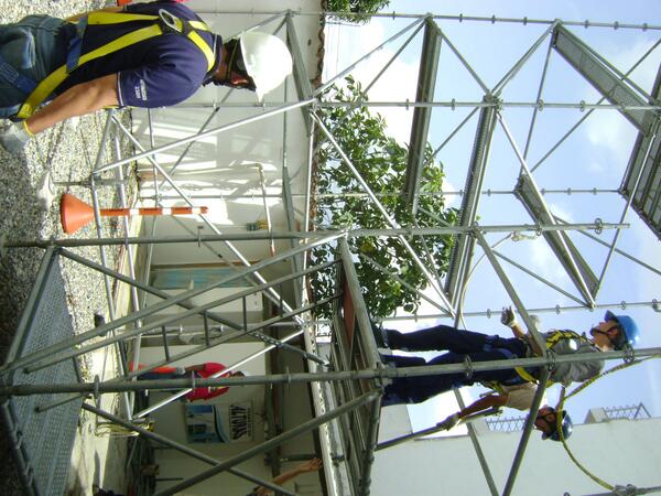 S.O.S. Ltda. tweet media