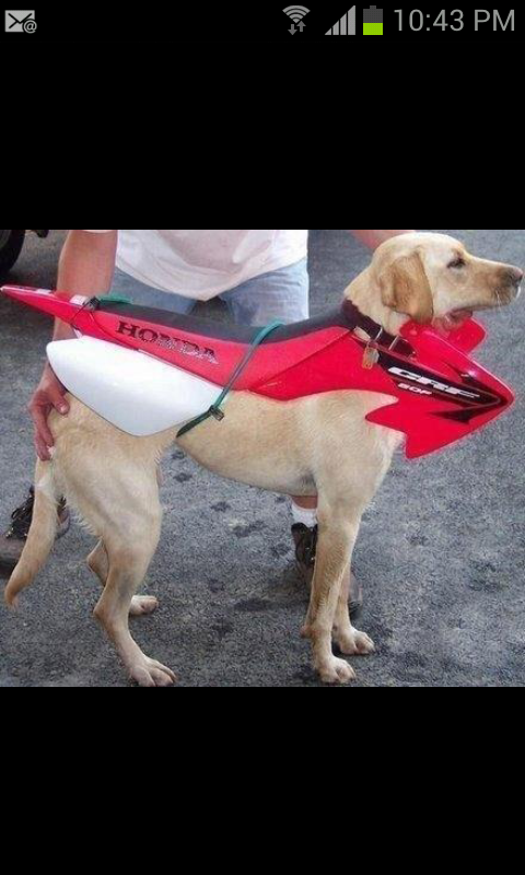 simo910_'s tweet image. @GunningDean yeah so he should. Your be better off with one of these lol