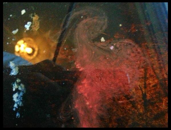 Baking tray abstract :-)