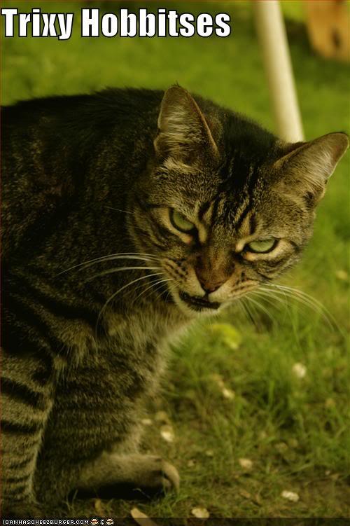 ShireKitty's tweet image. 