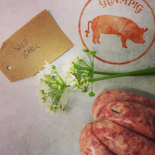 glampig's tweet photo. Wild Garlic &amp; Devon Pork Sausages for sale - They are tasty https://t.co/IwS0BxtLPL #sausagesdeliveredtoyourdoor http://t.co/WWNlnGBMoL