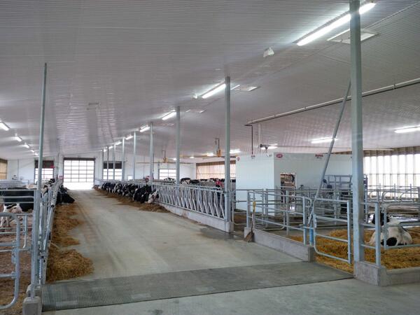 Avonbank_Ag's tweet image. Open House is ready at Berlett Dairy! #dairyrobot is looking good! The address is 5499 Line 88 Gowanstown. #lely