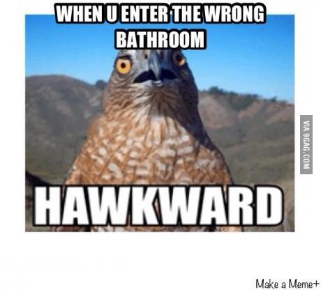 patovic's tweet image. Whenever you enter the wrong bathroom 9gag.com/gag/aAYBWKL?re… via @9GAG