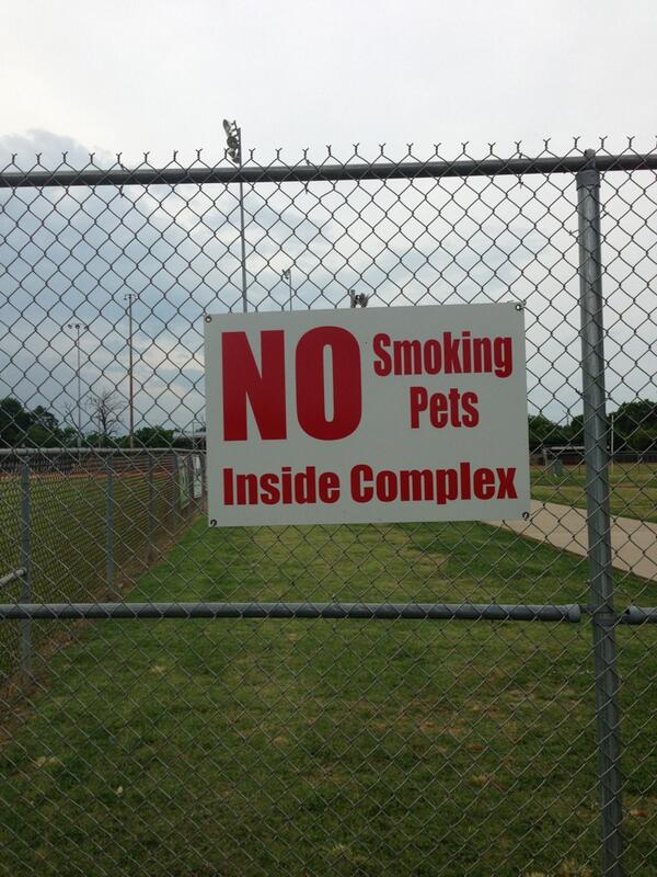 AmberDCaldwell's tweet image. I hate it when my dog lights up. #signproblems