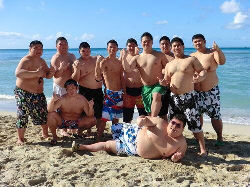 CubBotSMD's tweet image. 